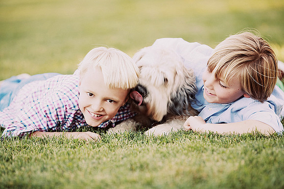 Whiskers Tails and More