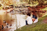 Whiskers Tails and More