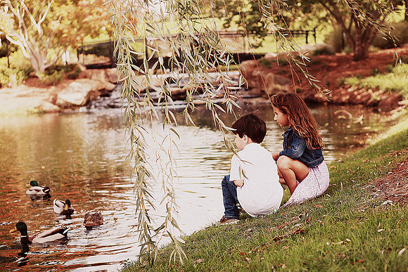 Whiskers Tails and More