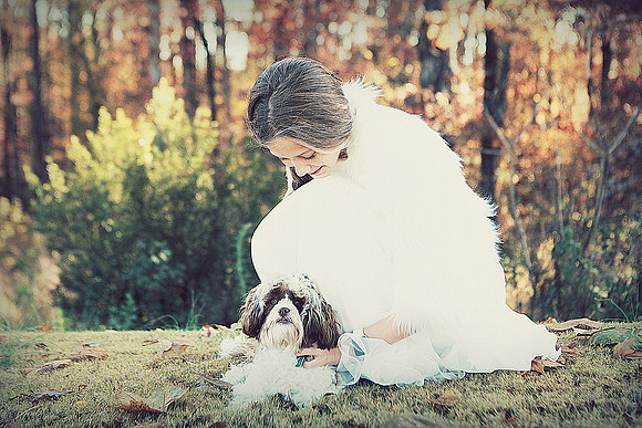 Whiskers Tails and More