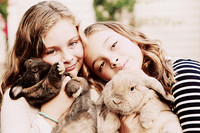 Whiskers Tails and More