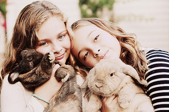 Whiskers Tails and More