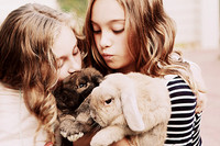 Whiskers Tails and More