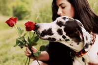 Whiskers Tails and More