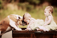 Whiskers Tails and More