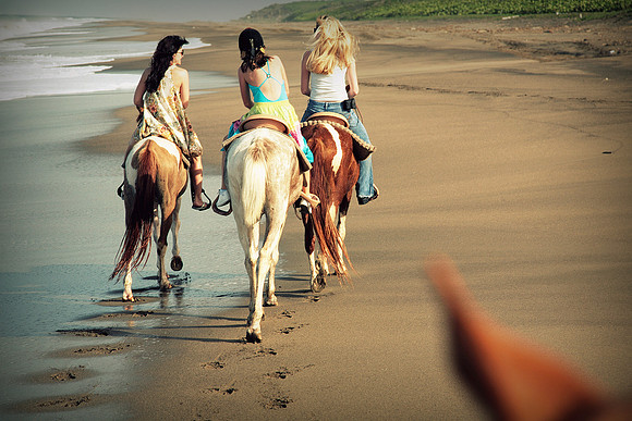 Whiskers Tails and More