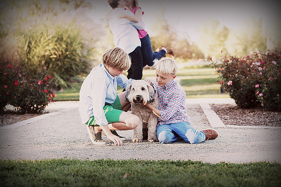 family-of-the-lens-07