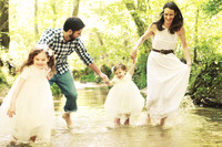 Families of the Lens